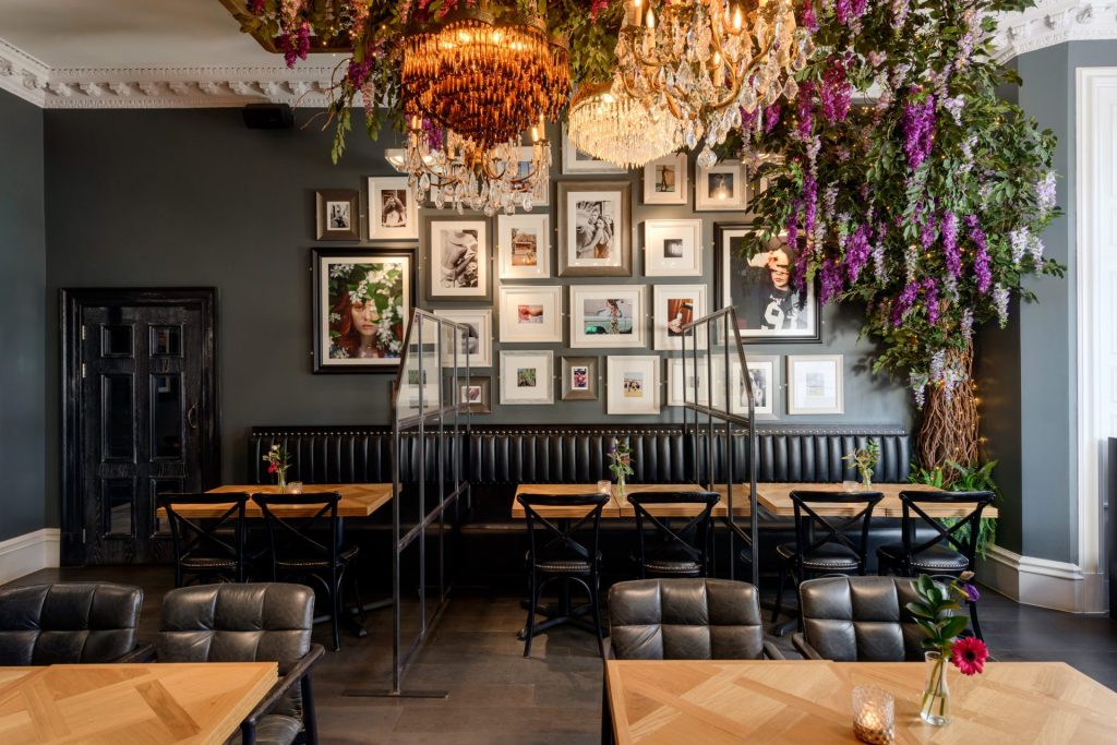 Black Ivy - Clubroom